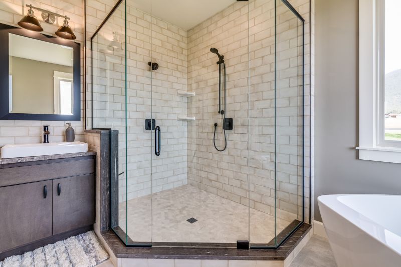 Modern Shower with Frameless Door